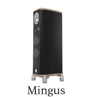 marten speakers turkiye mingus serisi can hifi